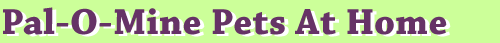 Name