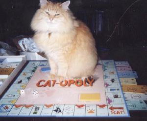 Puff on Catopoly Board