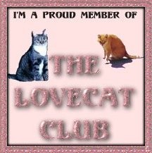 Love Cat Club
